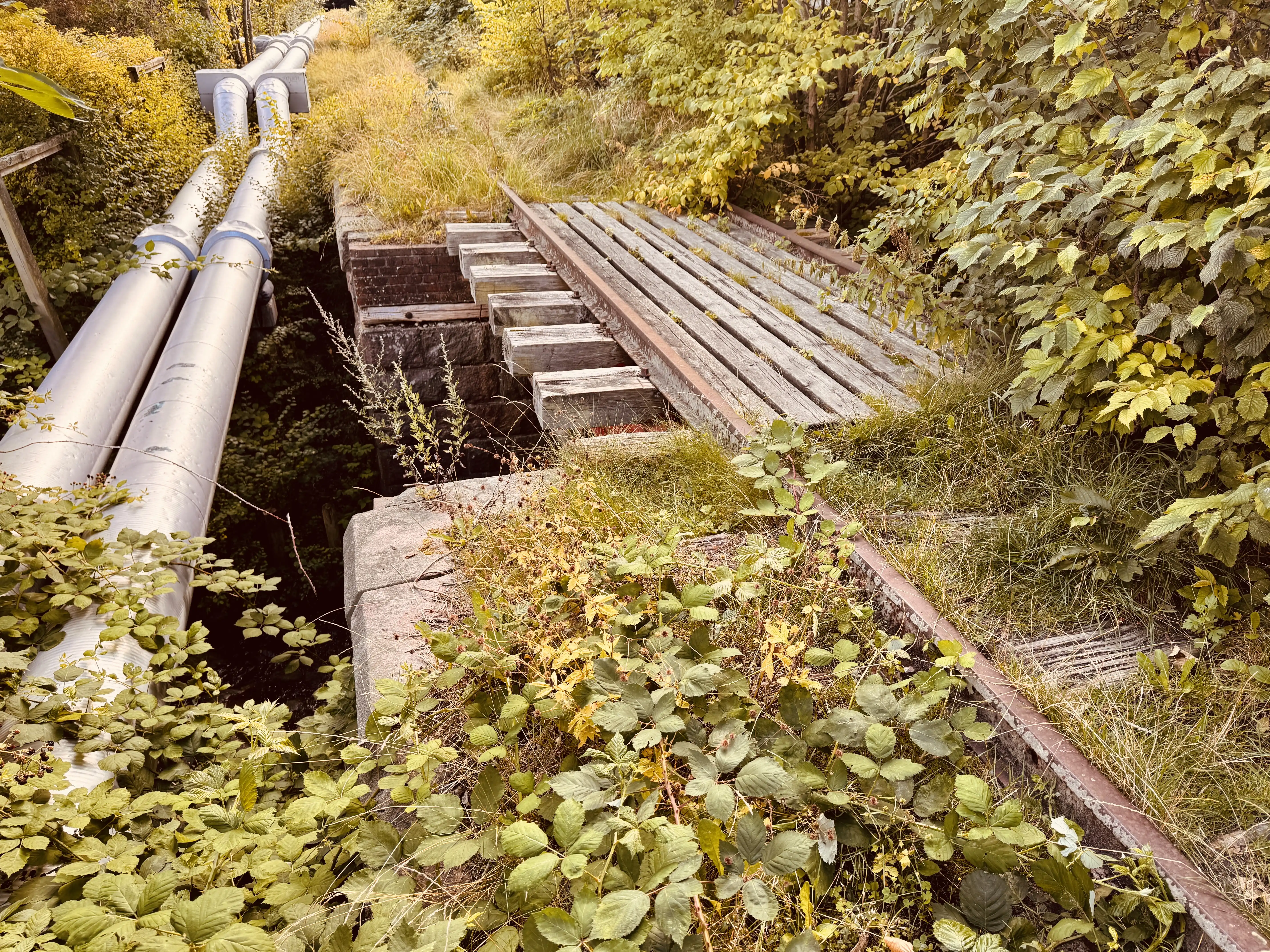 Billede af lidt sporrester ved det gamle nedlagte Dronningborg Trinbræt. Billede af lidt sporrester ved det gamle nedlagte Dronningborg Trinbræt.