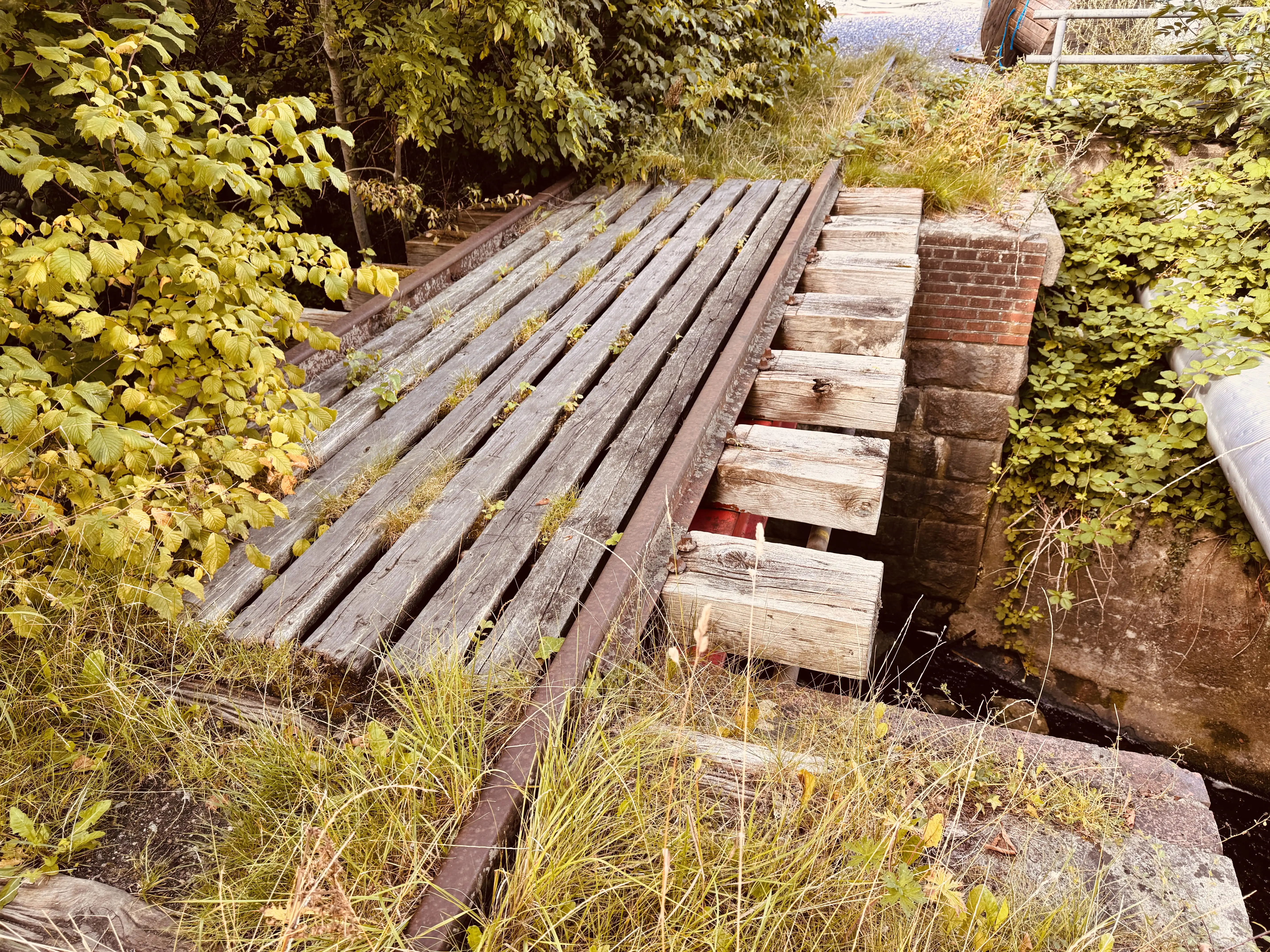 Billede af lidt sporrester ved det gamle nedlagte Dronningborg Trinbræt. Billede af lidt sporrester ved det gamle nedlagte Dronningborg Trinbræt.