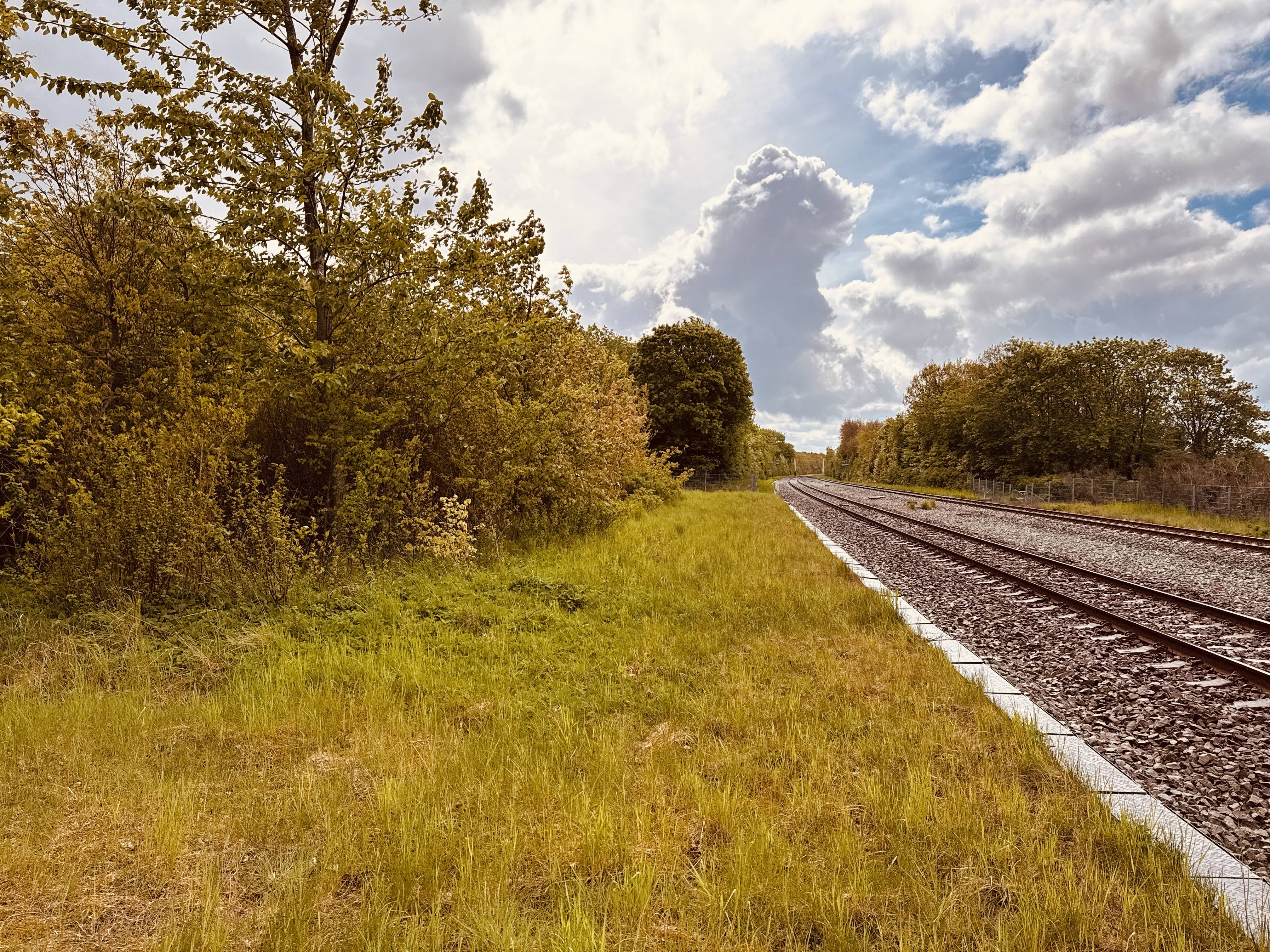 Billede af Rønbjerg Station - Station er nedrevet, men Rønbjerg Station har ligget her.